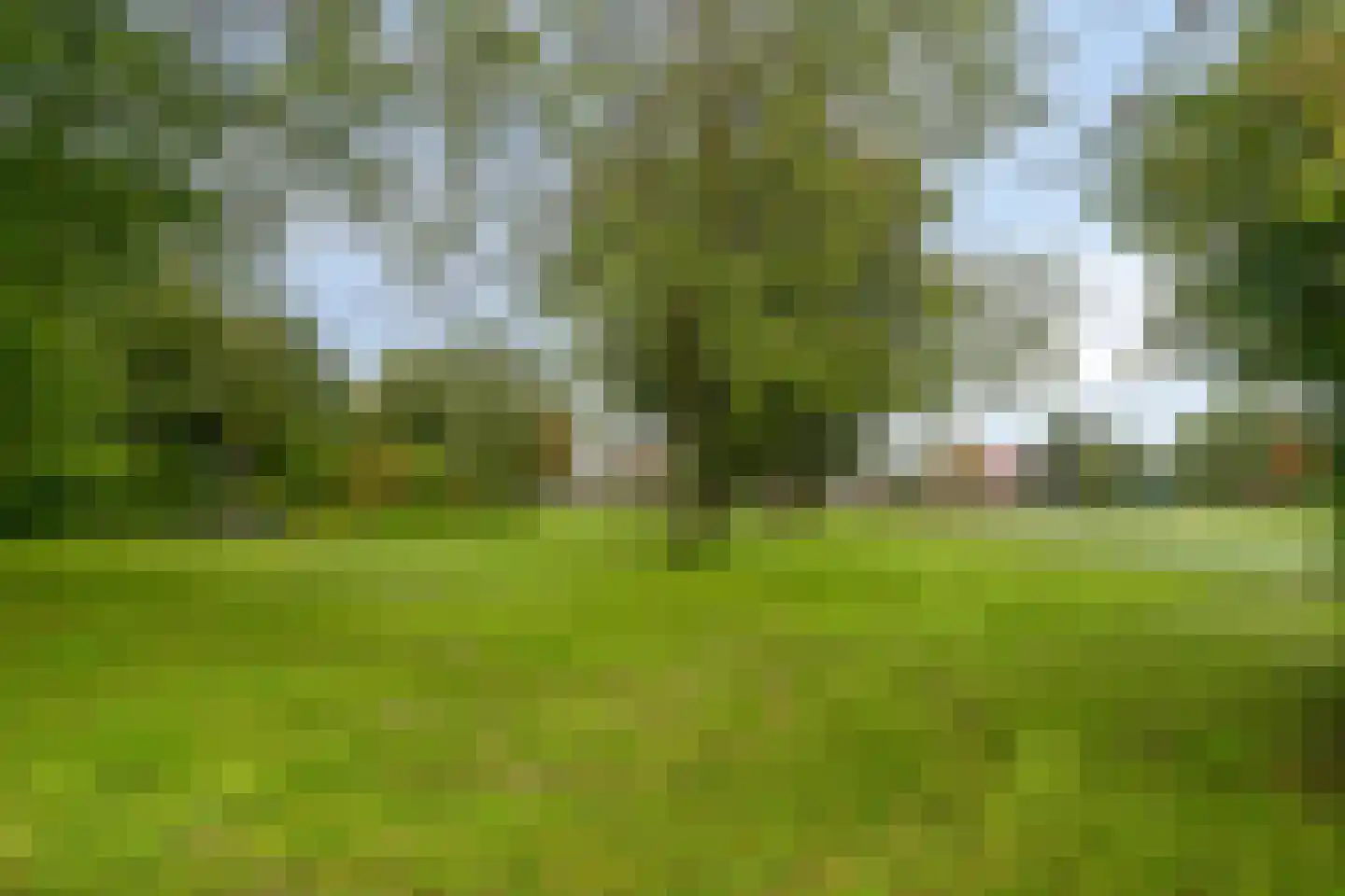 Graan voor Visch 17224 Hoofddorp thumbnail 20