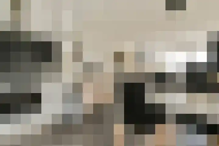 Graan voor Visch 17225 Hoofddorp thumbnail 10