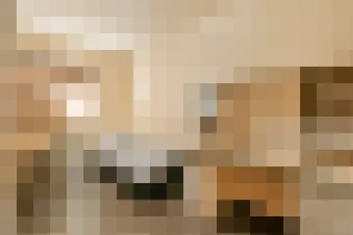 Graan voor Visch 17225 Hoofddorp thumbnail 11