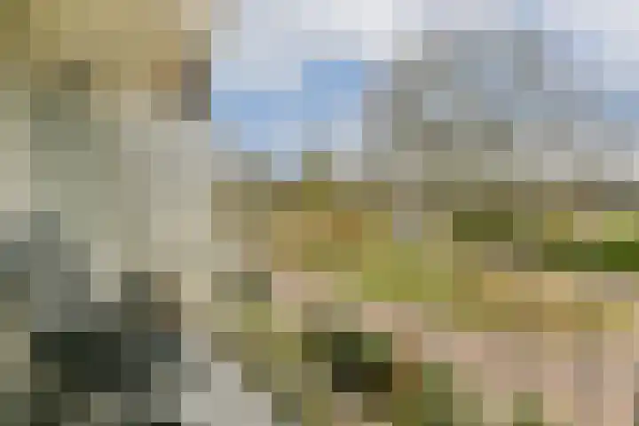 Graan voor Visch 17225 Hoofddorp thumbnail 14