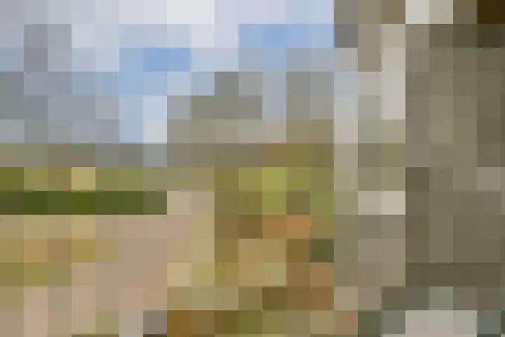 Graan voor Visch 17225 Hoofddorp thumbnail 15