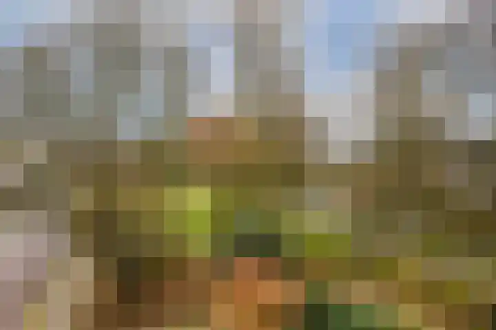 Graan voor Visch 17225 Hoofddorp thumbnail 16