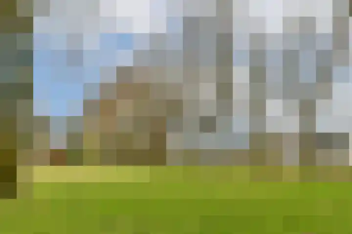 Graan voor Visch 17225 Hoofddorp thumbnail 18