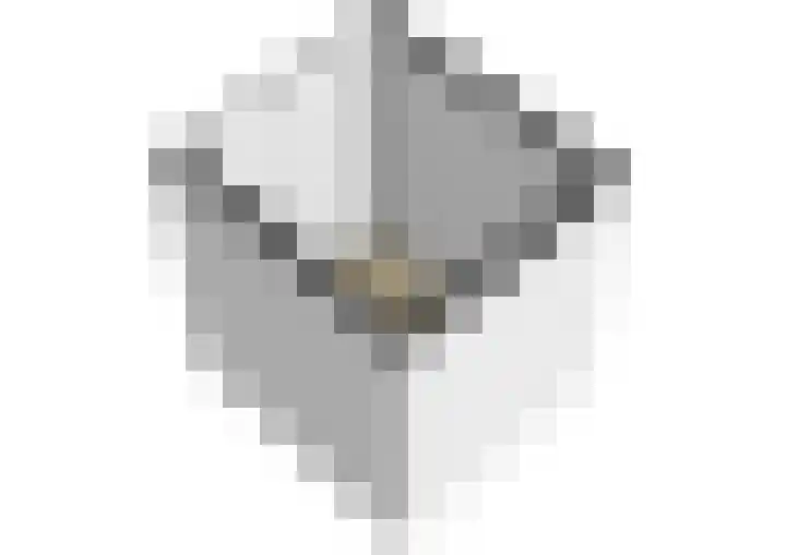 Graan voor Visch 17225 Hoofddorp thumbnail 22