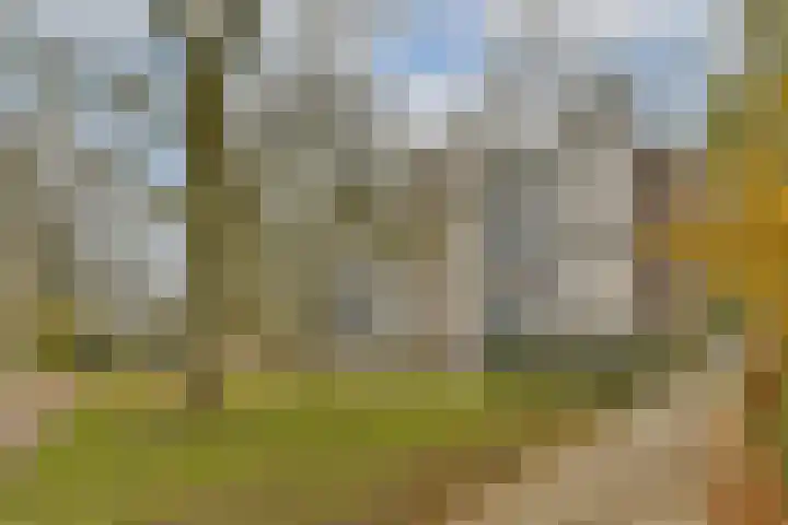 Graan voor Visch 17225 Hoofddorp foto 3