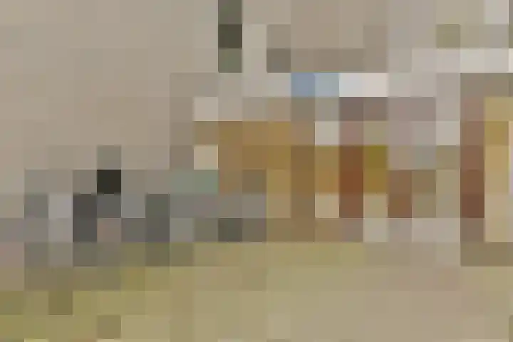 Graan voor Visch 17225 Hoofddorp thumbnail 4