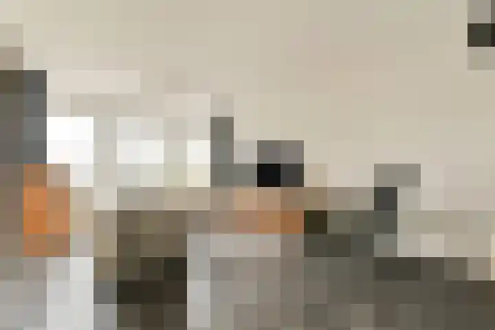 Graan voor Visch 17225 Hoofddorp thumbnail 6