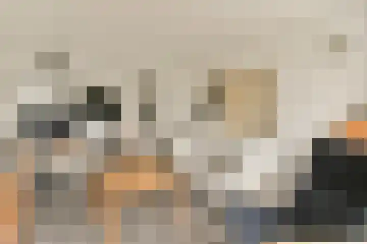 Graan voor Visch 17225 Hoofddorp thumbnail 7