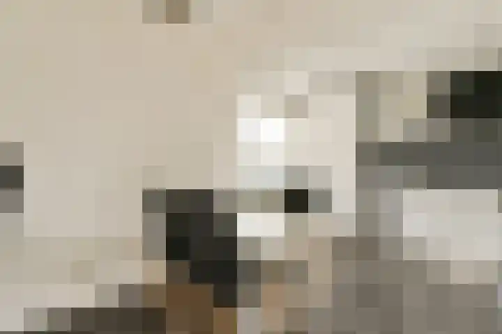 Graan voor Visch 17225 Hoofddorp thumbnail 8