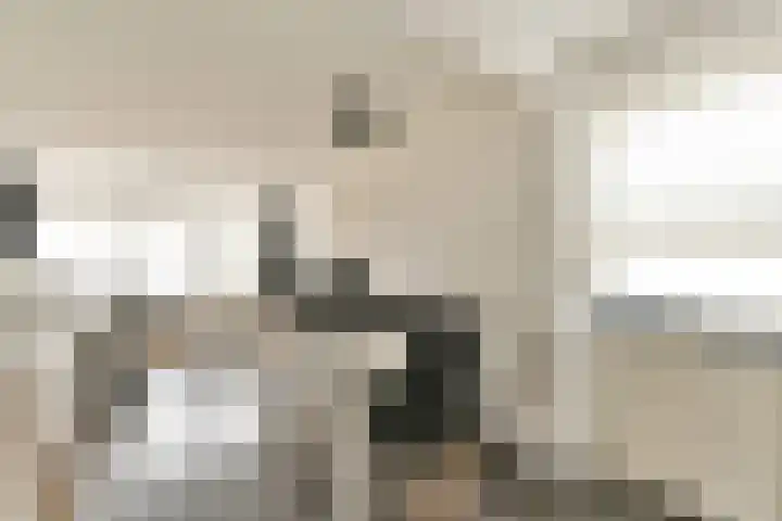 Graan voor Visch 17225 Hoofddorp thumbnail 9