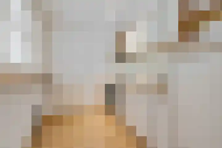Graan voor Visch 17237 Hoofddorp thumbnail 17
