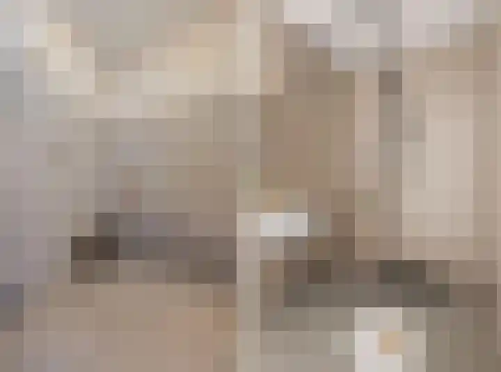 Graan voor Visch 17237 Hoofddorp thumbnail 22