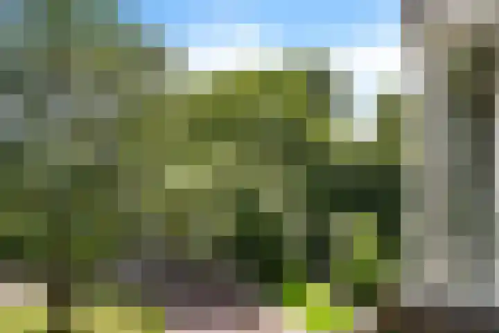 Graan voor Visch 17237 Hoofddorp thumbnail 24