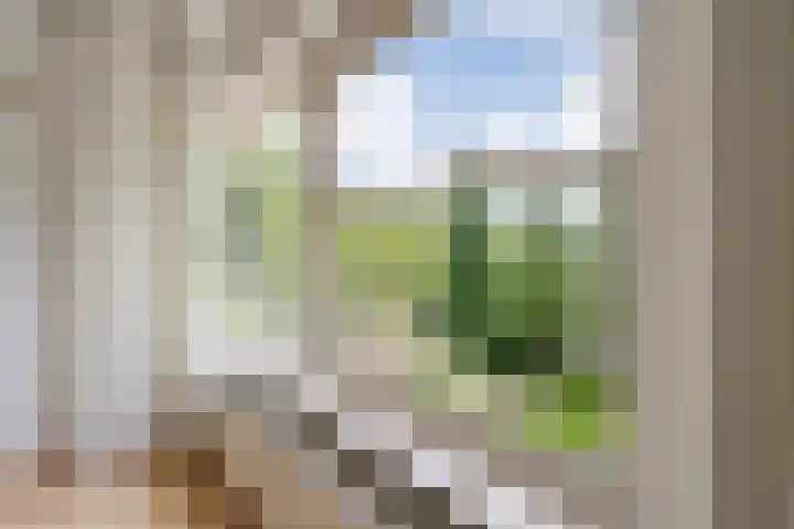 Graan voor Visch 17237 Hoofddorp thumbnail 26