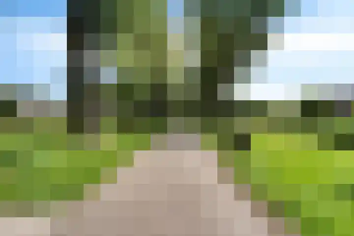 Graan voor Visch 17237 Hoofddorp thumbnail 28