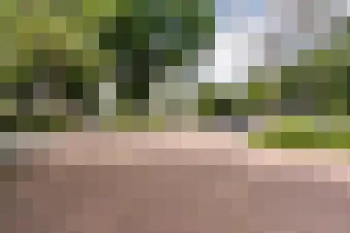 Graan voor Visch 17237 Hoofddorp thumbnail 29