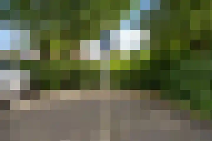 Graan voor Visch 17237 Hoofddorp thumbnail 30