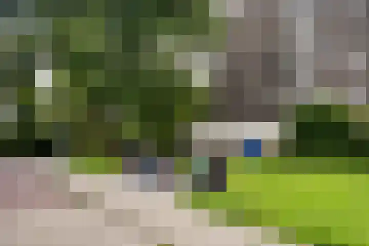 Graan voor Visch 17237 Hoofddorp thumbnail 31