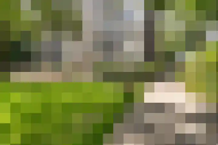 Graan voor Visch 17237 Hoofddorp thumbnail 33