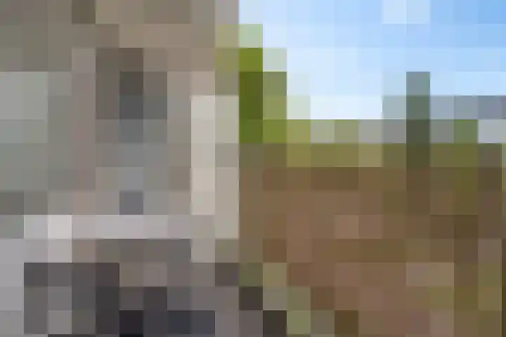 Graan voor Visch 17237 Hoofddorp thumbnail 5