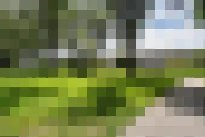 Graan voor Visch 17237 Hoofddorp thumbnail 6