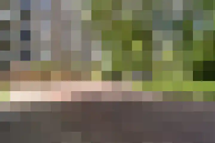 Graan voor Visch 17237 Hoofddorp thumbnail 7