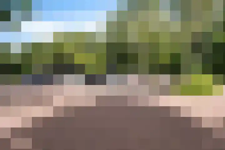 Graan voor Visch 17237 Hoofddorp thumbnail 8