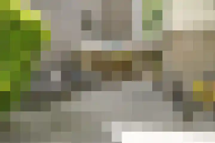 Graan voor Visch 17237 Hoofddorp thumbnail 9