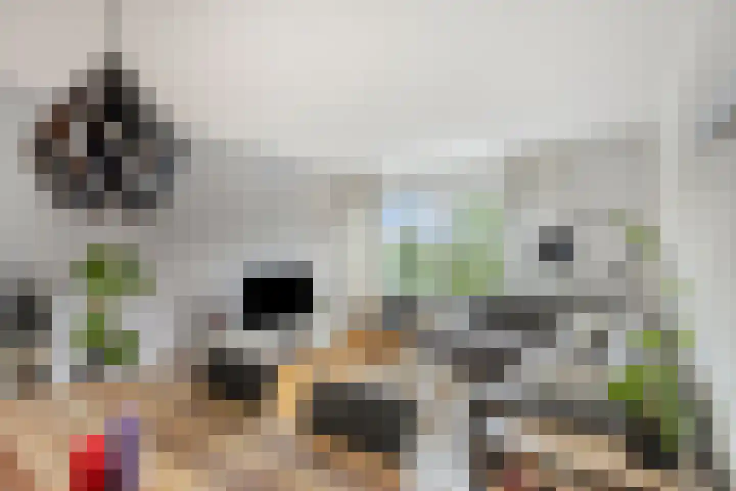 Graan voor Visch 17247 Hoofddorp thumbnail 10