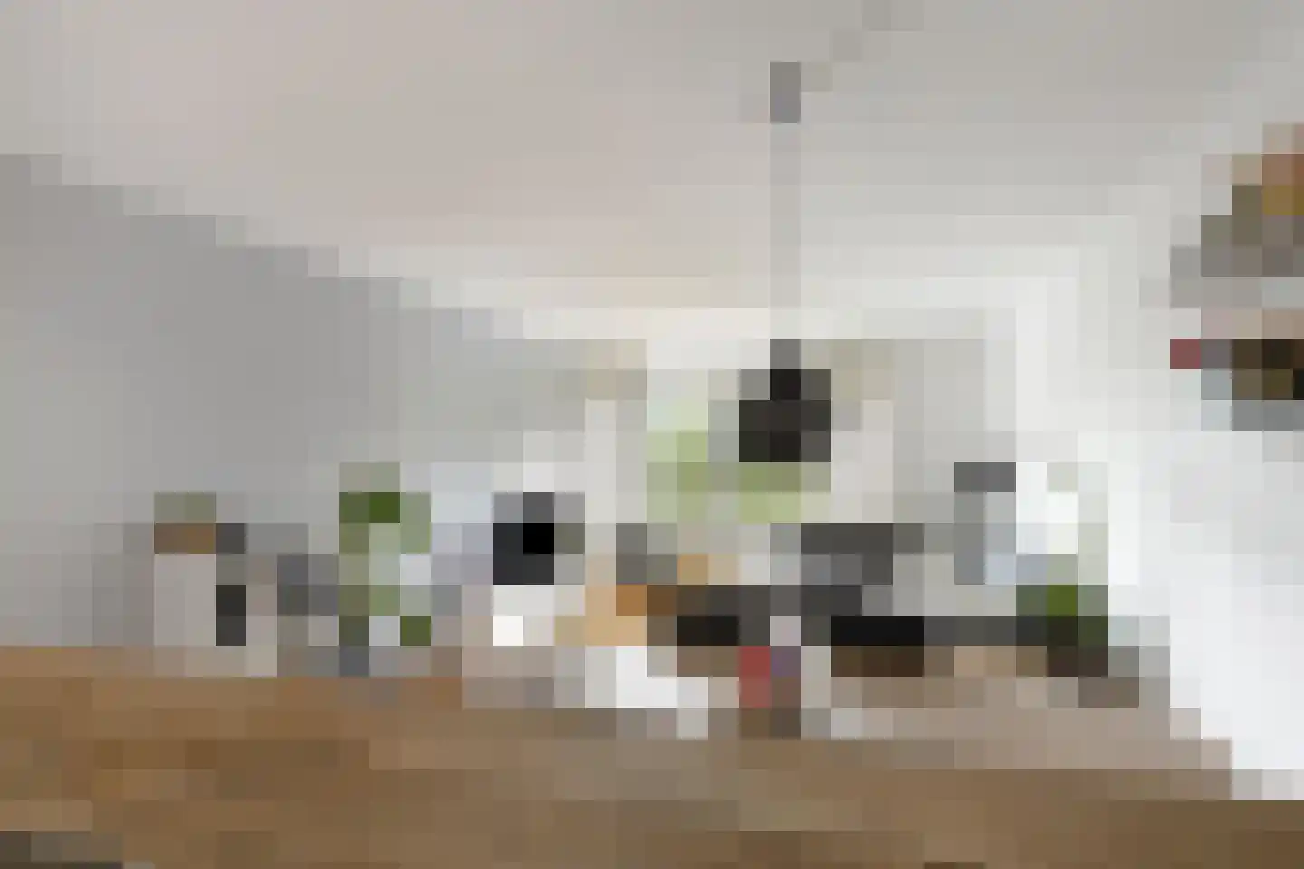 Graan voor Visch 17247 Hoofddorp thumbnail 12