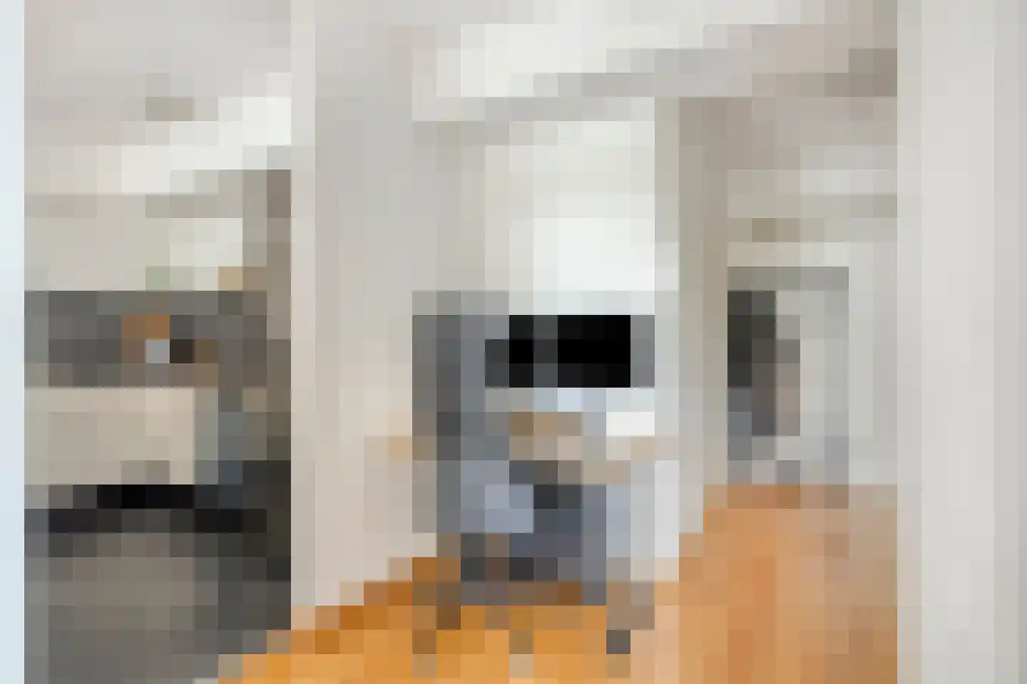 Graan voor Visch 17247 Hoofddorp thumbnail 13