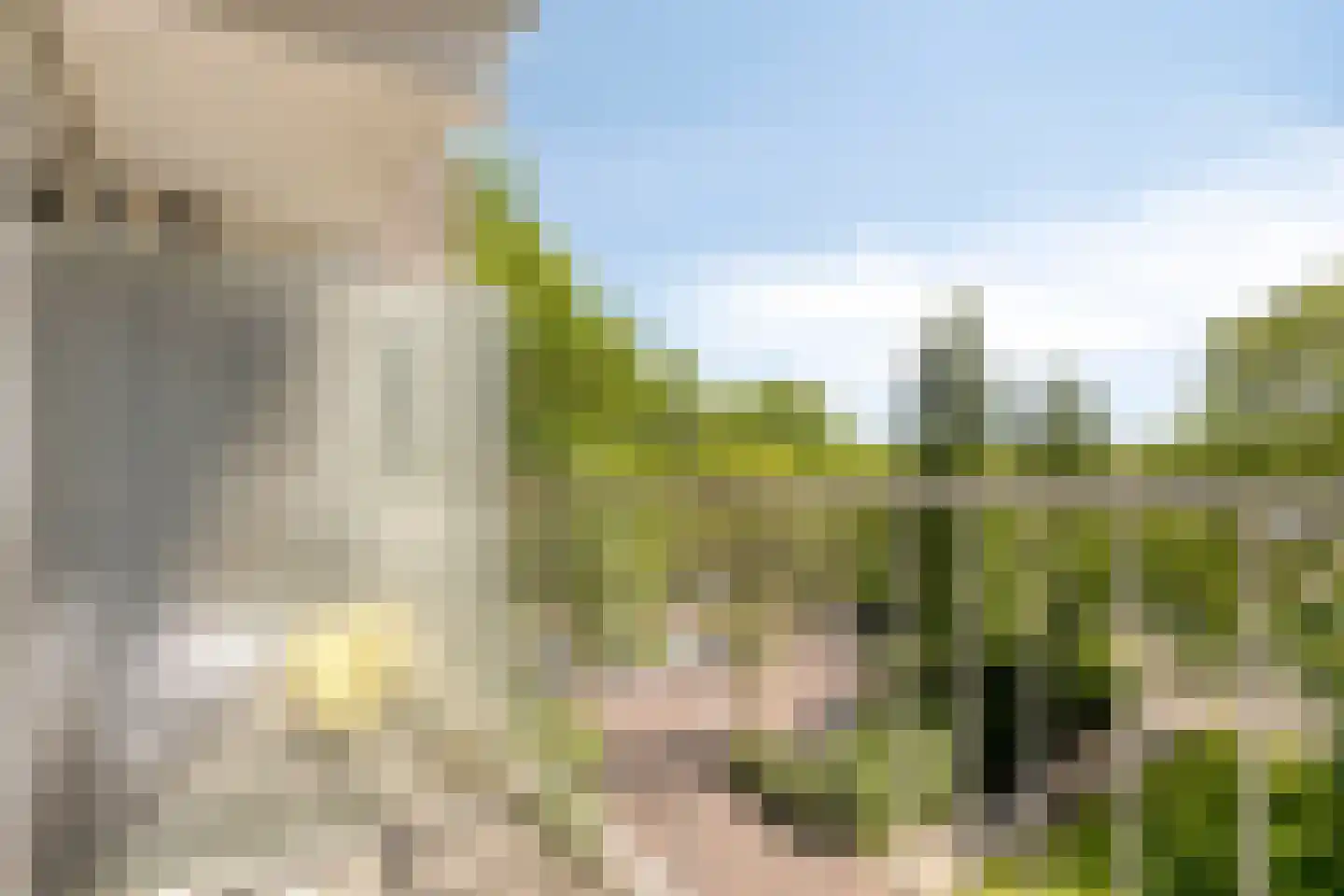 Graan voor Visch 17247 Hoofddorp thumbnail 19