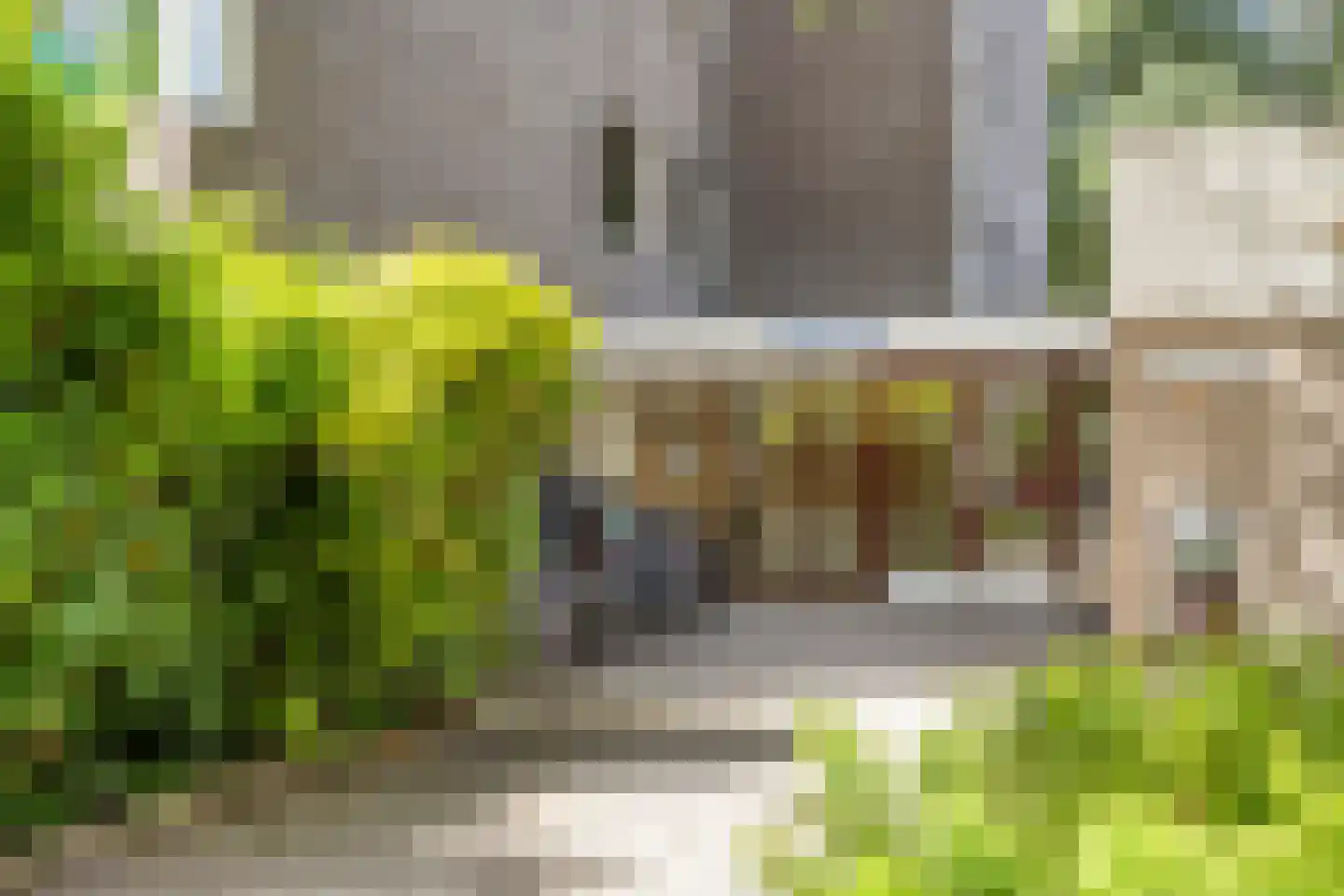 Graan voor Visch 17247 Hoofddorp thumbnail 5