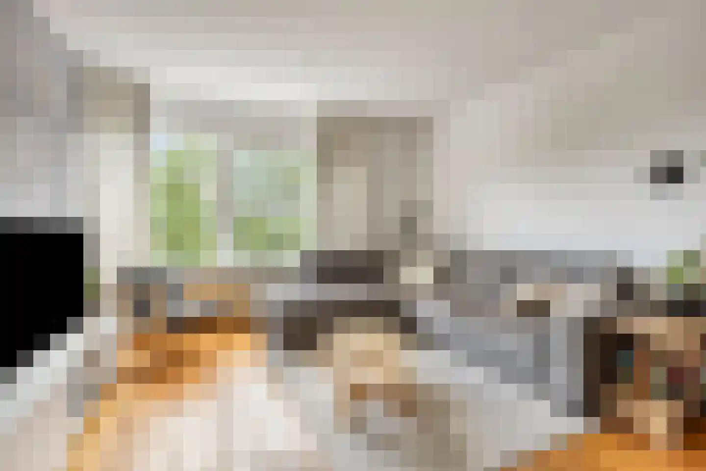 Graan voor Visch 17247 Hoofddorp thumbnail 8
