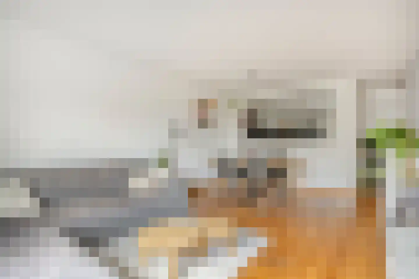 Graan voor Visch 17247 Hoofddorp thumbnail 9