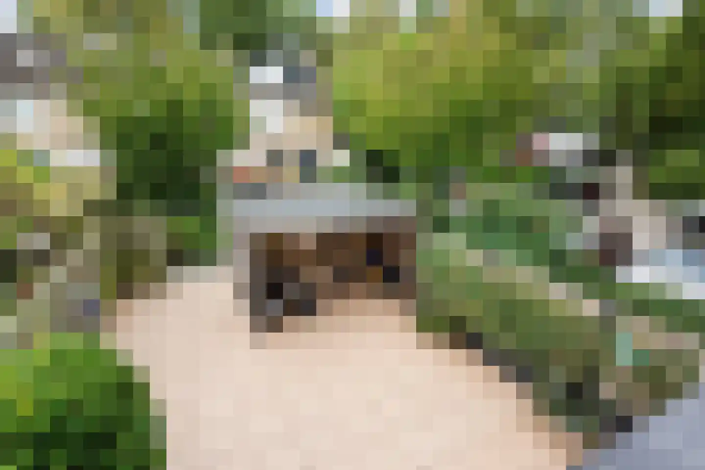 Graan voor Visch 17301 Hoofddorp thumbnail 22