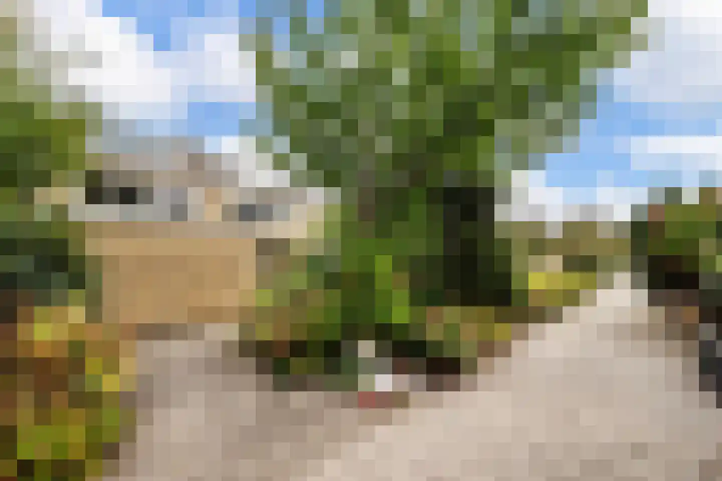 Graan voor Visch 17301 Hoofddorp thumbnail 28