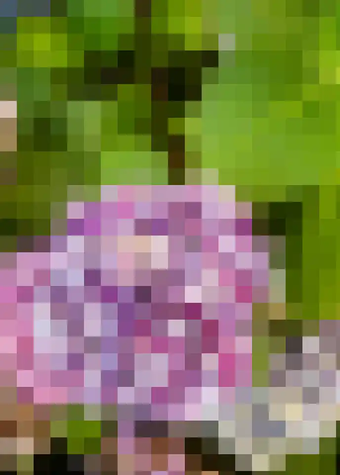 Graan voor Visch 17301 Hoofddorp thumbnail 29