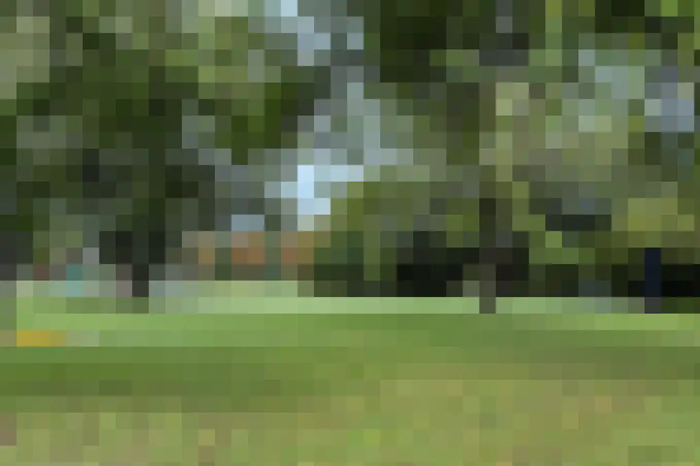 Graan voor Visch 17301 Hoofddorp thumbnail 31