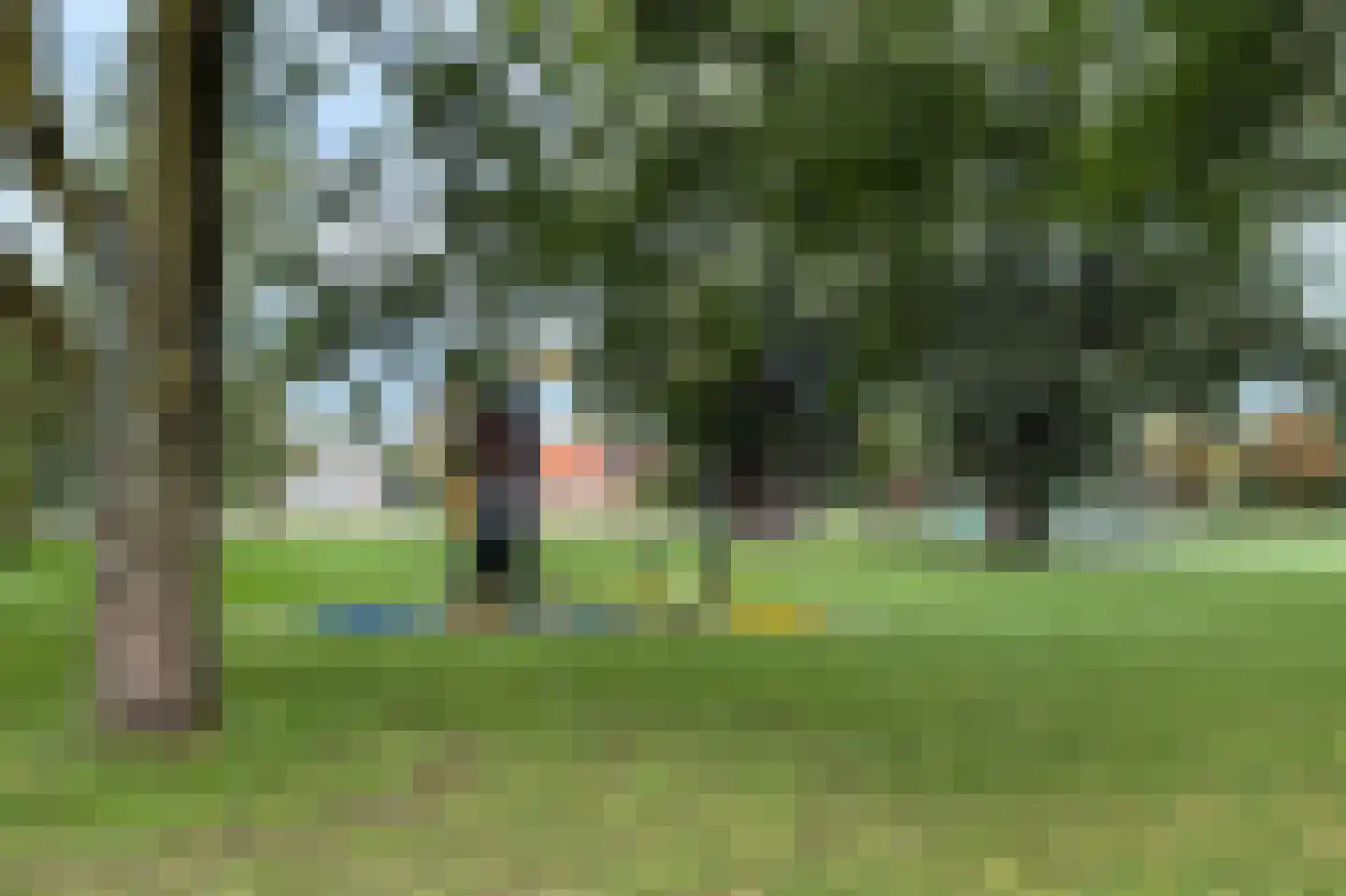 Graan voor Visch 17301 Hoofddorp thumbnail 32