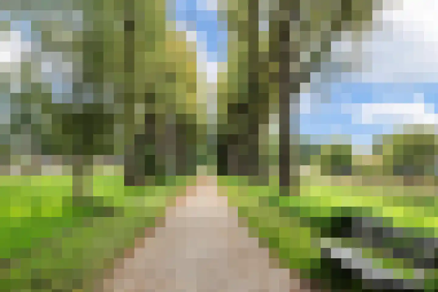 Graan voor Visch 17301 Hoofddorp thumbnail 33