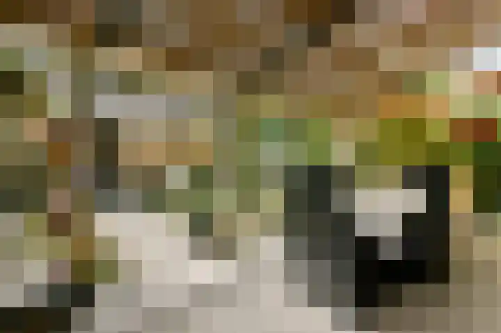 Graan voor Visch 17303 Hoofddorp thumbnail 10
