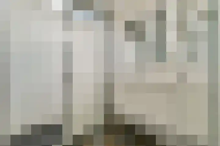 Graan voor Visch 17303 Hoofddorp thumbnail 15