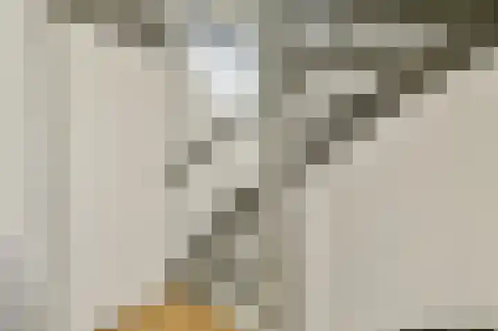 Graan voor Visch 17303 Hoofddorp thumbnail 16