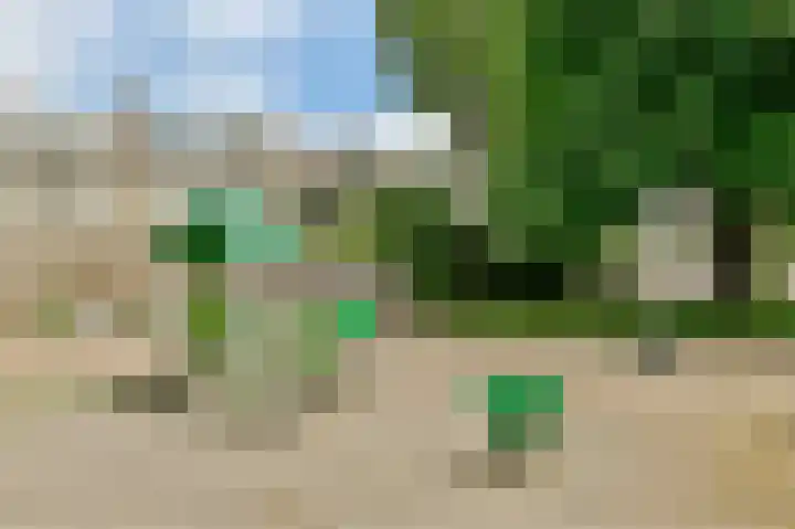 Graan voor Visch 17303 Hoofddorp thumbnail 19