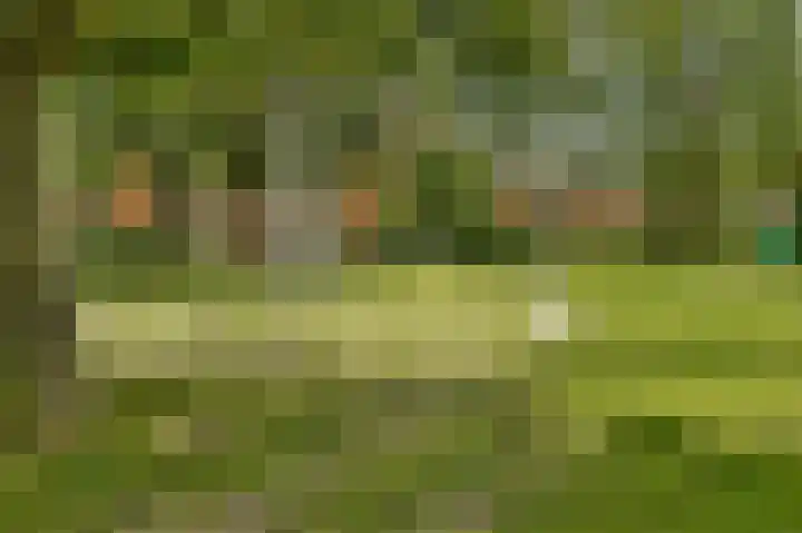 Graan voor Visch 17303 Hoofddorp thumbnail 20