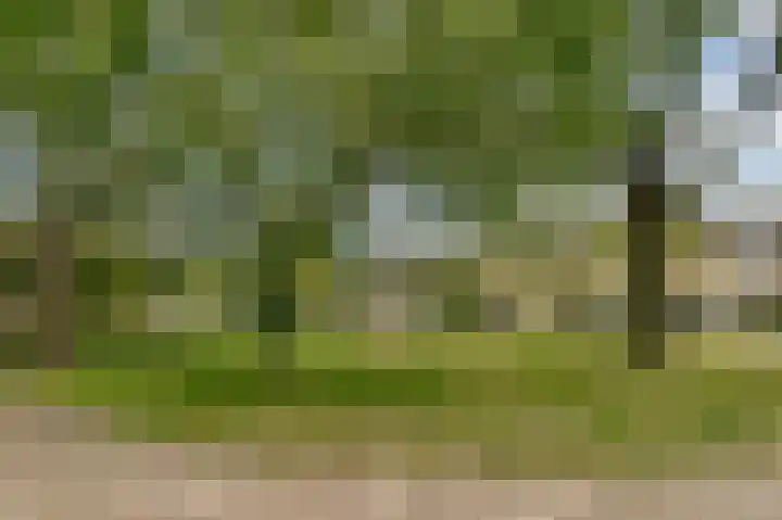 Graan voor Visch 17303 Hoofddorp thumbnail 21