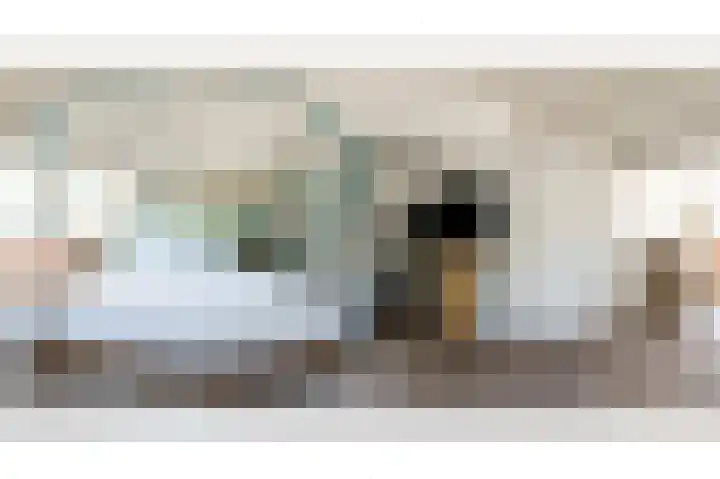 Graan voor Visch 17303 Hoofddorp thumbnail 35