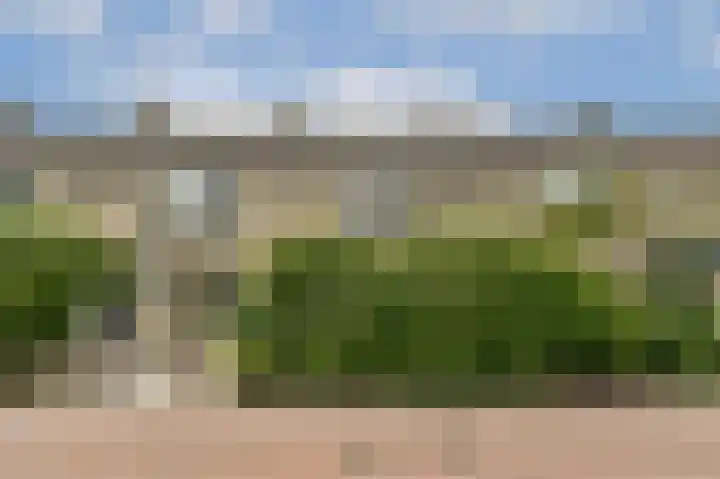 Graan voor Visch 17303 Hoofddorp thumbnail 37