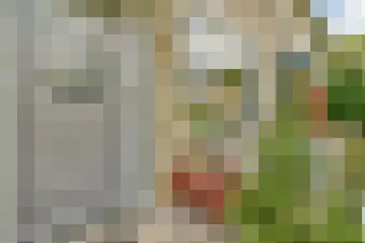 Graan voor Visch 17303 Hoofddorp thumbnail 6